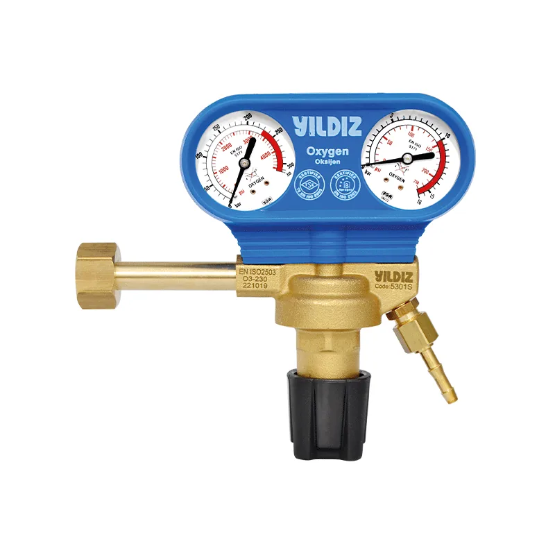 Basınç Düşürücüler (Proreg 5300)