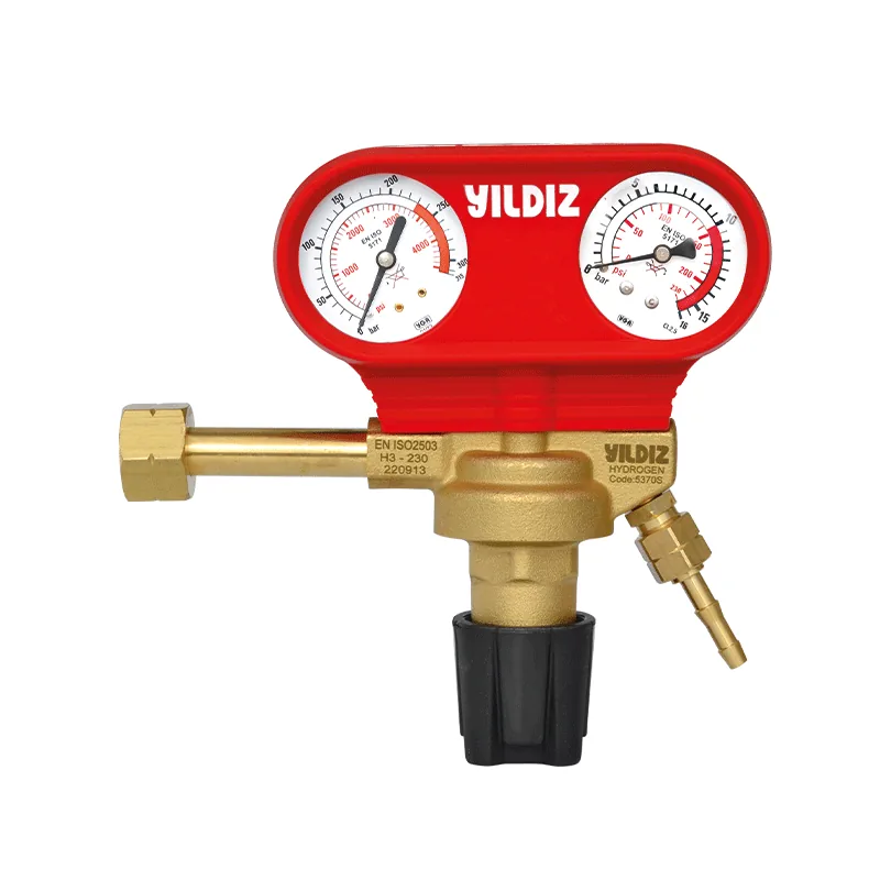 Yıldızgaz Proreg 5370S Hidrojen Basınç Düşürücü