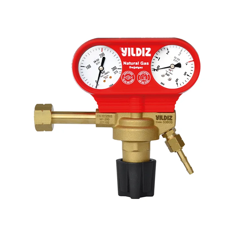 Yıldızgaz Proreg 5380S Doğalgaz Basınç Düşürücü