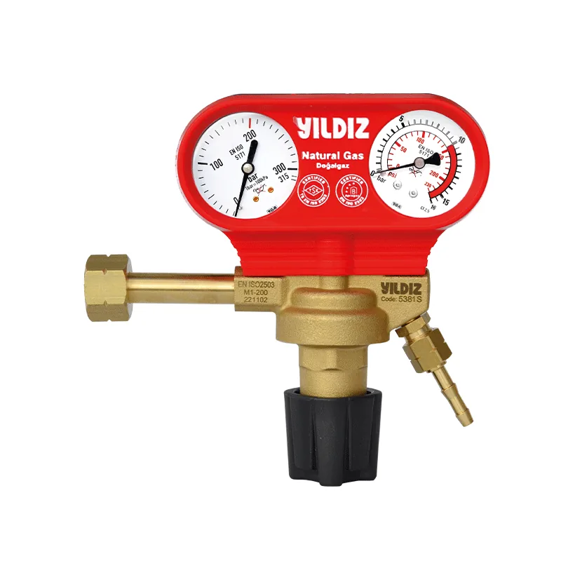 Yıldızgaz Proreg 5381S Doğalgaz Basınç Düşürücü